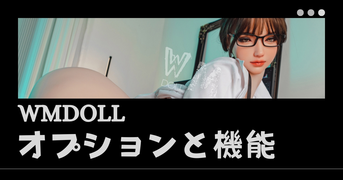 WMDOLLオプションと機能