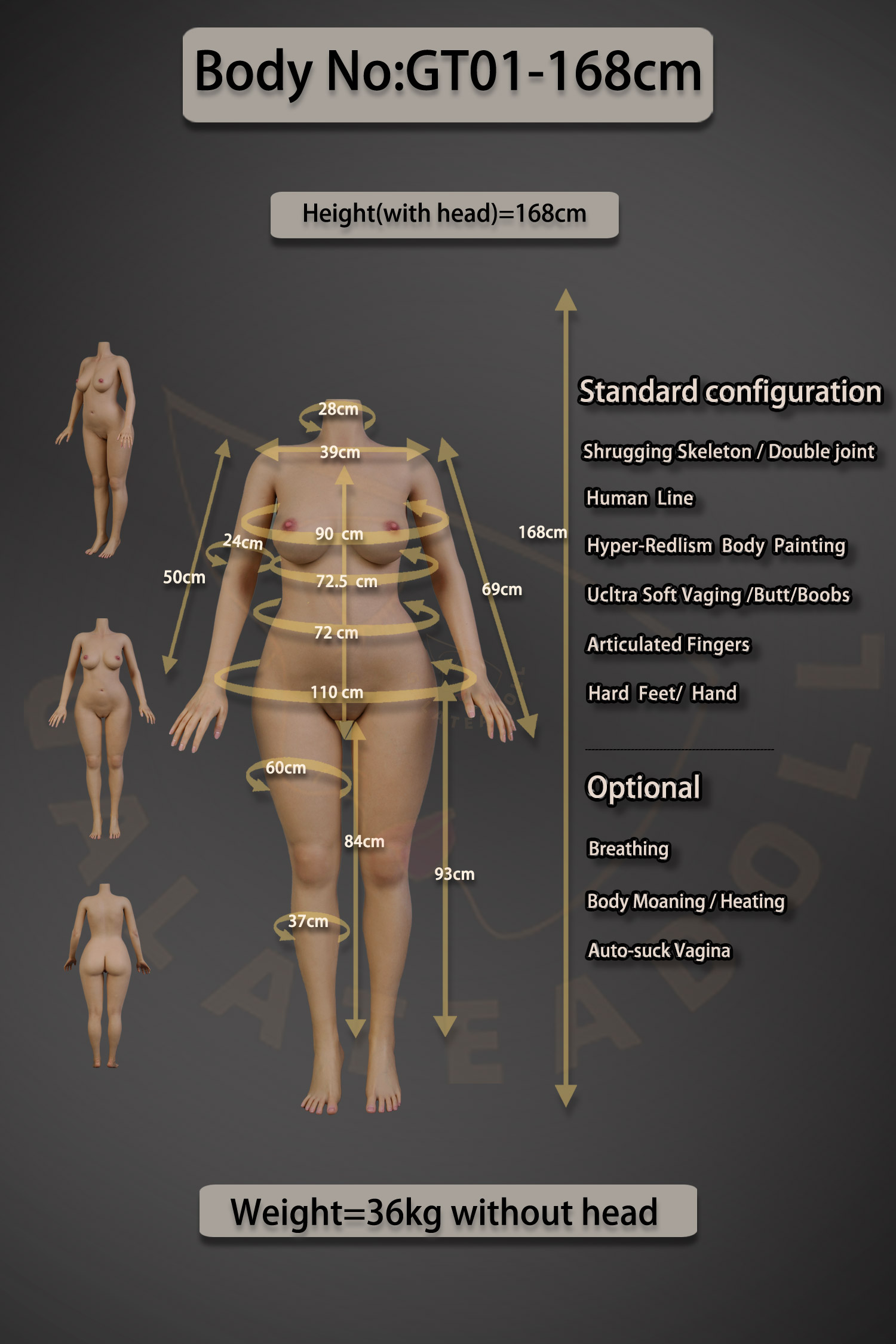 GT01-168-Body-Data-Pic