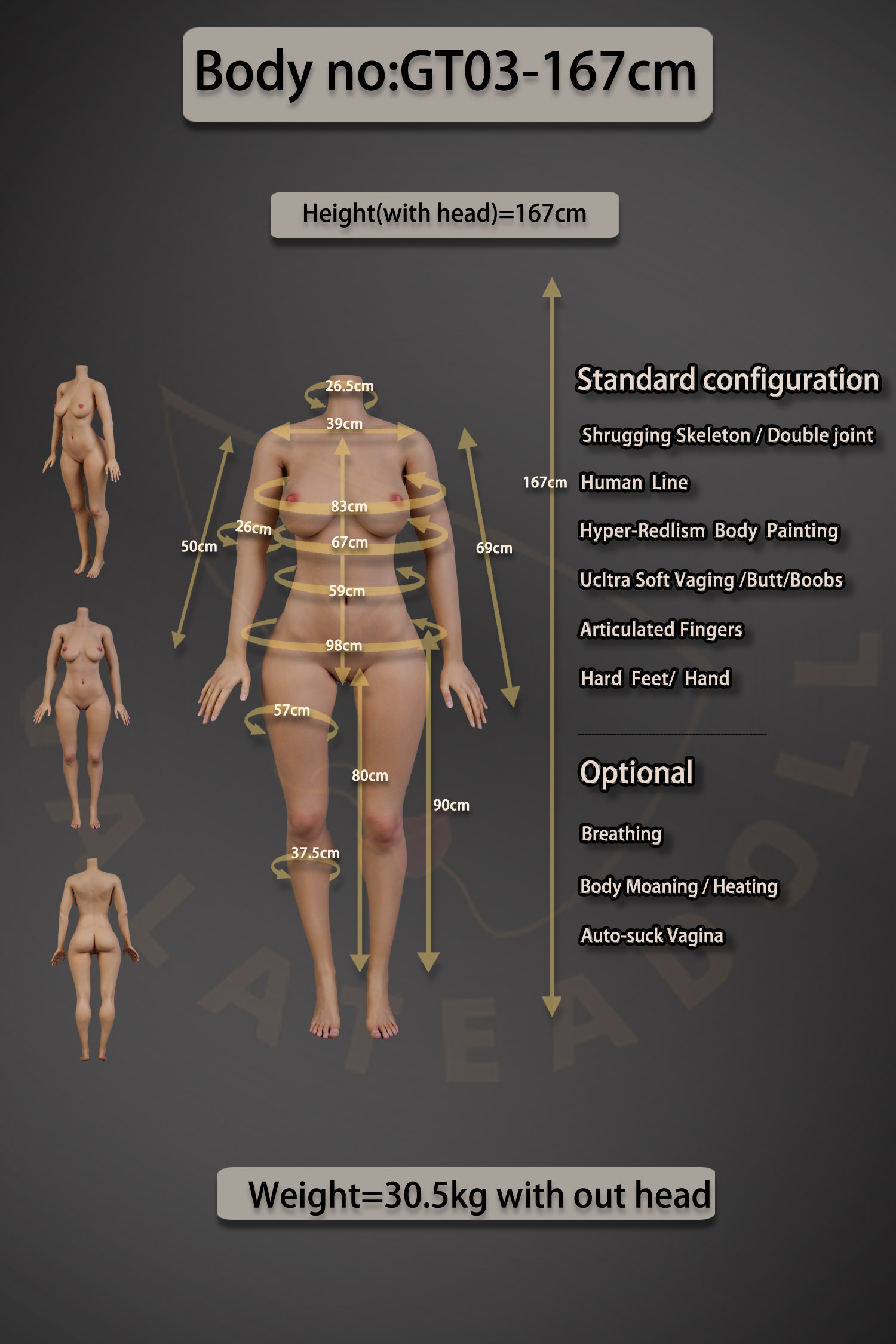 GT03-167-Body-DataPic