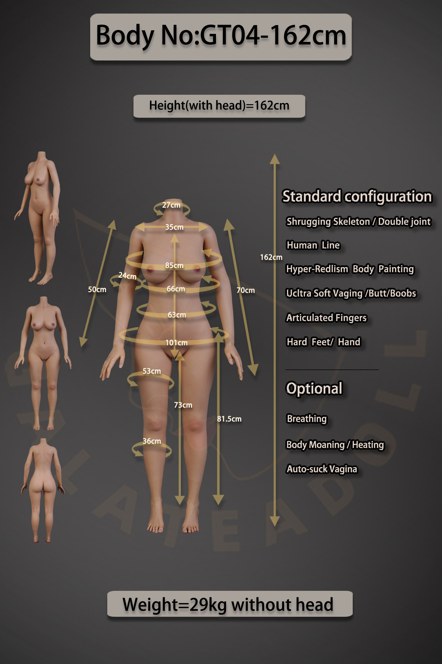 GT04-162-Body-Data-Pic