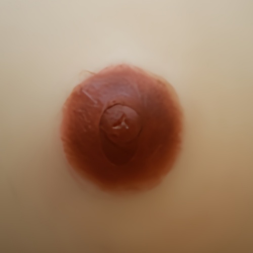 IL-乳首 (1)